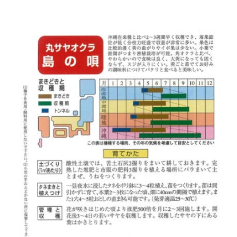 【各５粒(計10粒)】島オクラ　２種セット　品種別　多収＆丸莢　どちらも柔らかい品種です♪《４点限定》送料73円〜_画像2