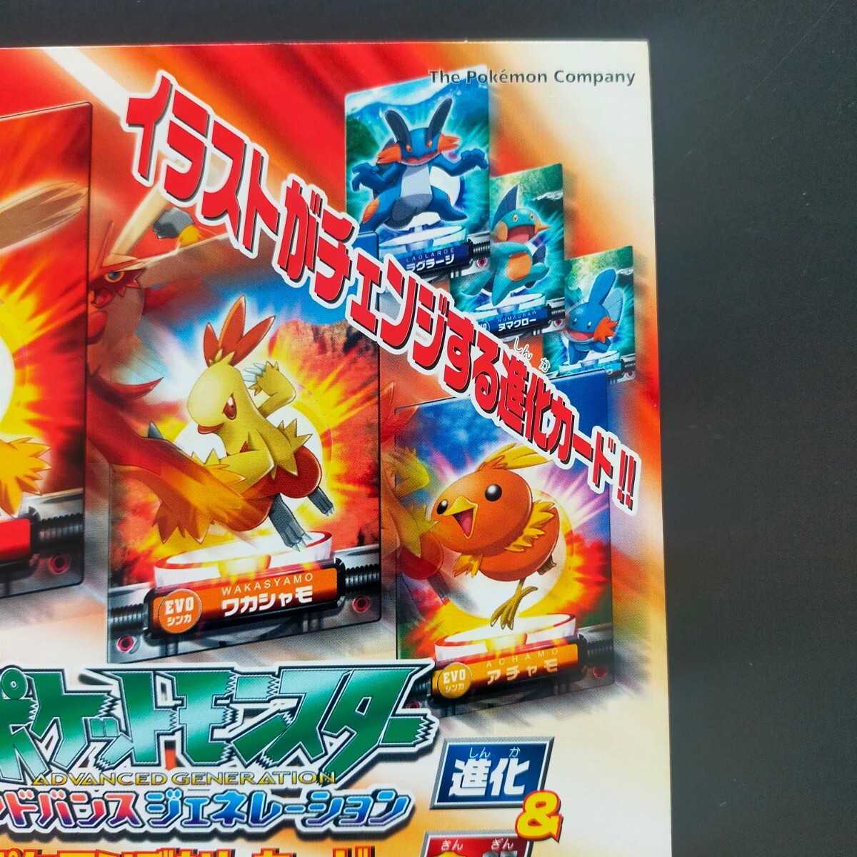 Bibian 比比昂 - ポケモン ずかん カードダス アドバンス Bibian 比比昂 - ポケモン ずかん カードダス アドバンス