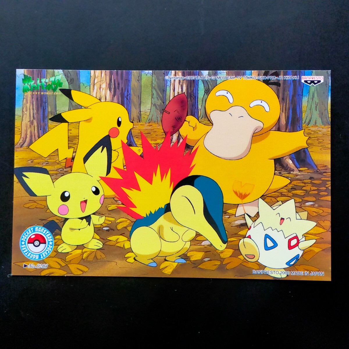 Yahoo!オークション - 焼き芋 ポケモン ポストカード Yahoo!オークション - 焼き芋 ポケモン ポストカード