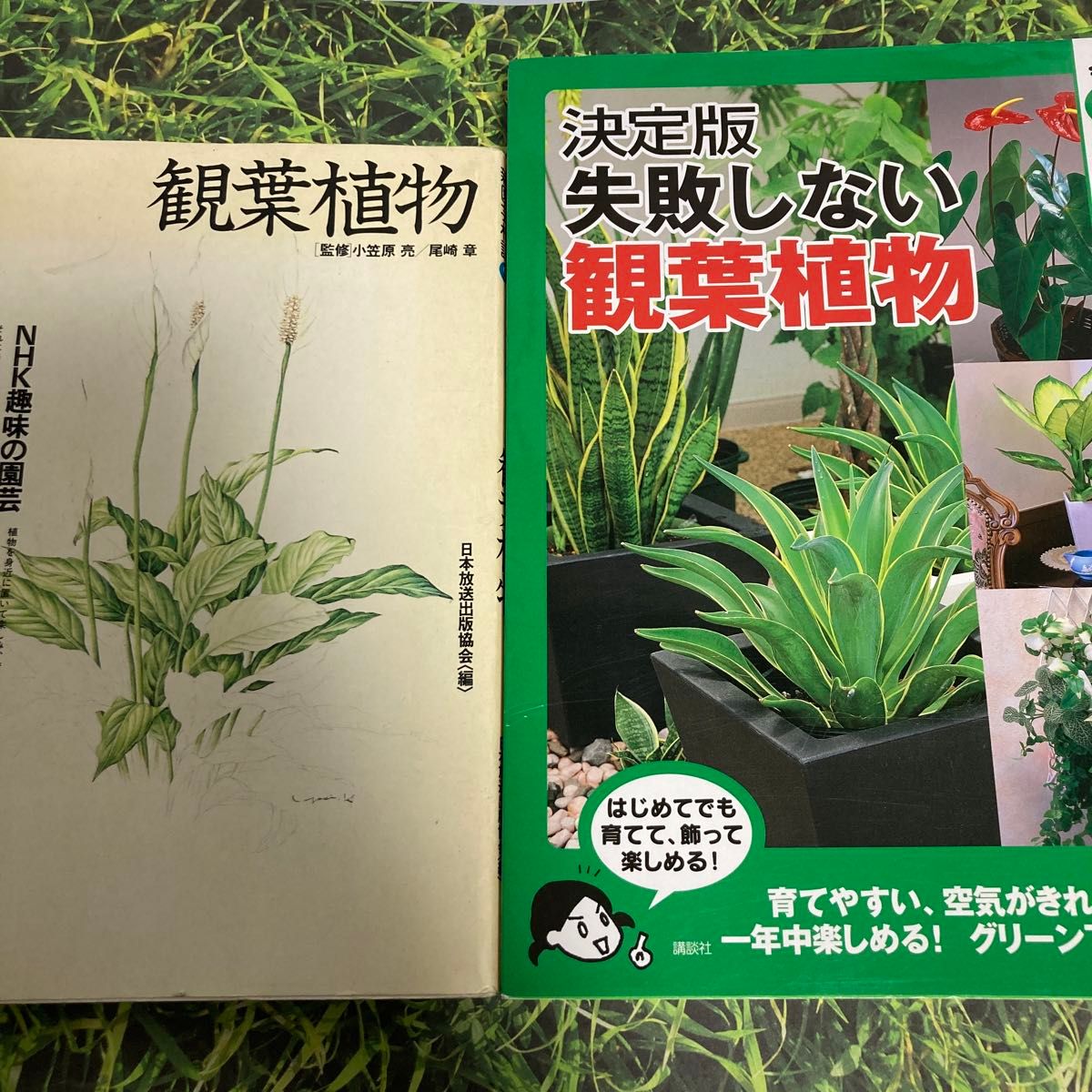 失敗しない観葉植物　決定版 （今日から使えるシリーズ　ｇａｒｄｅｎｉｎｇ)&観葉植物　NHK趣味の園芸新園芸相談⑨の2冊セット