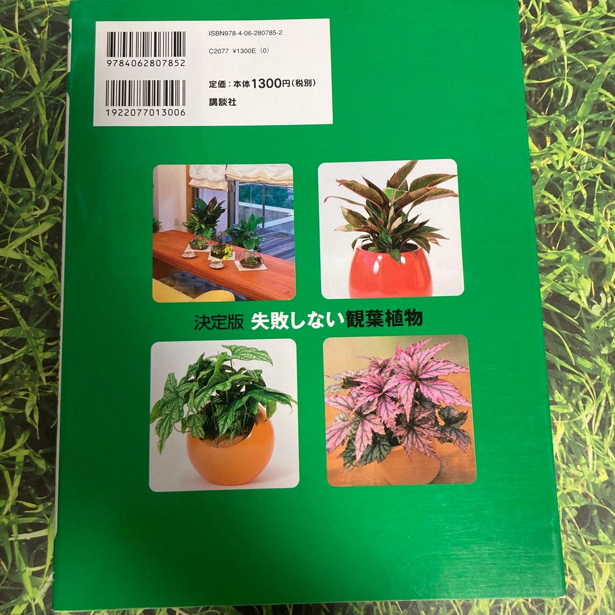 失敗しない観葉植物　決定版 （今日から使えるシリーズ　ｇａｒｄｅｎｉｎｇ)&観葉植物　NHK趣味の園芸新園芸相談⑨の2冊セット