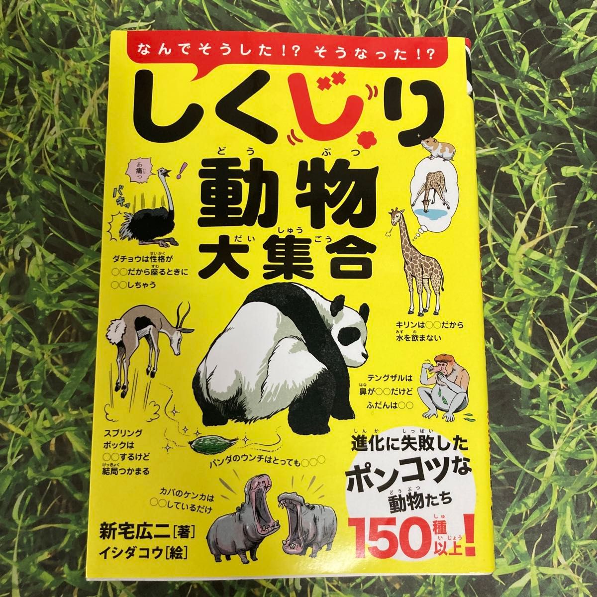 しくじり動物大集合★生まれたときからせつない動物図鑑 2冊セット！