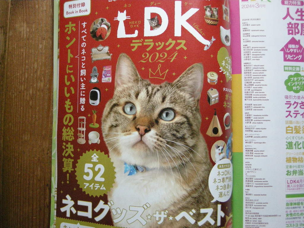 LDK 2024 год 3 месяц номер .. нет Answer78 сковорода передача путеводитель кошка товары лучший Muji Ryohin новый товар jaji все в одном гель 