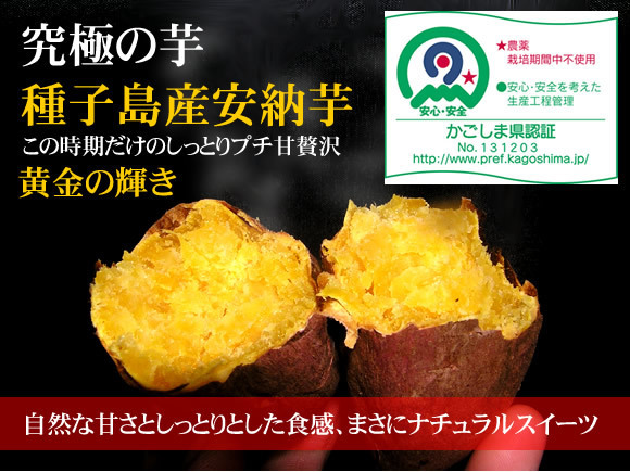 ワケアリ 種子島産安納芋3Sプチサイズ10キロ 農薬不使用 無化学肥料_画像2