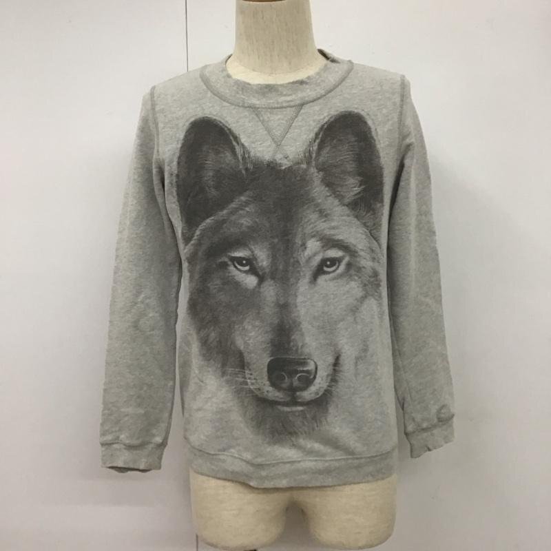 DIESEL 表記無し ディーゼル トレーナー 長袖 Sweat Sweatshirt 灰 / グレー / 10107109_画像1