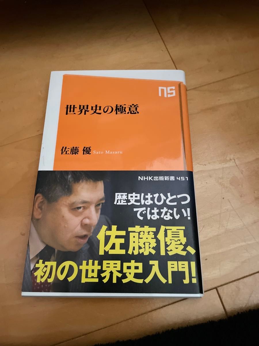 世界史の極意 （ＮＨＫ出版新書　４５１） 佐藤優／著