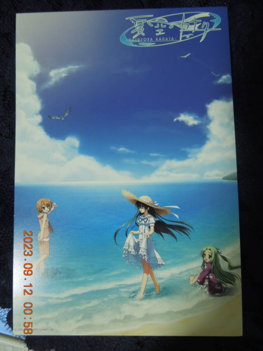 夏空カナタ ポストカード / こぶいち むりりん / イラストカードの画像1