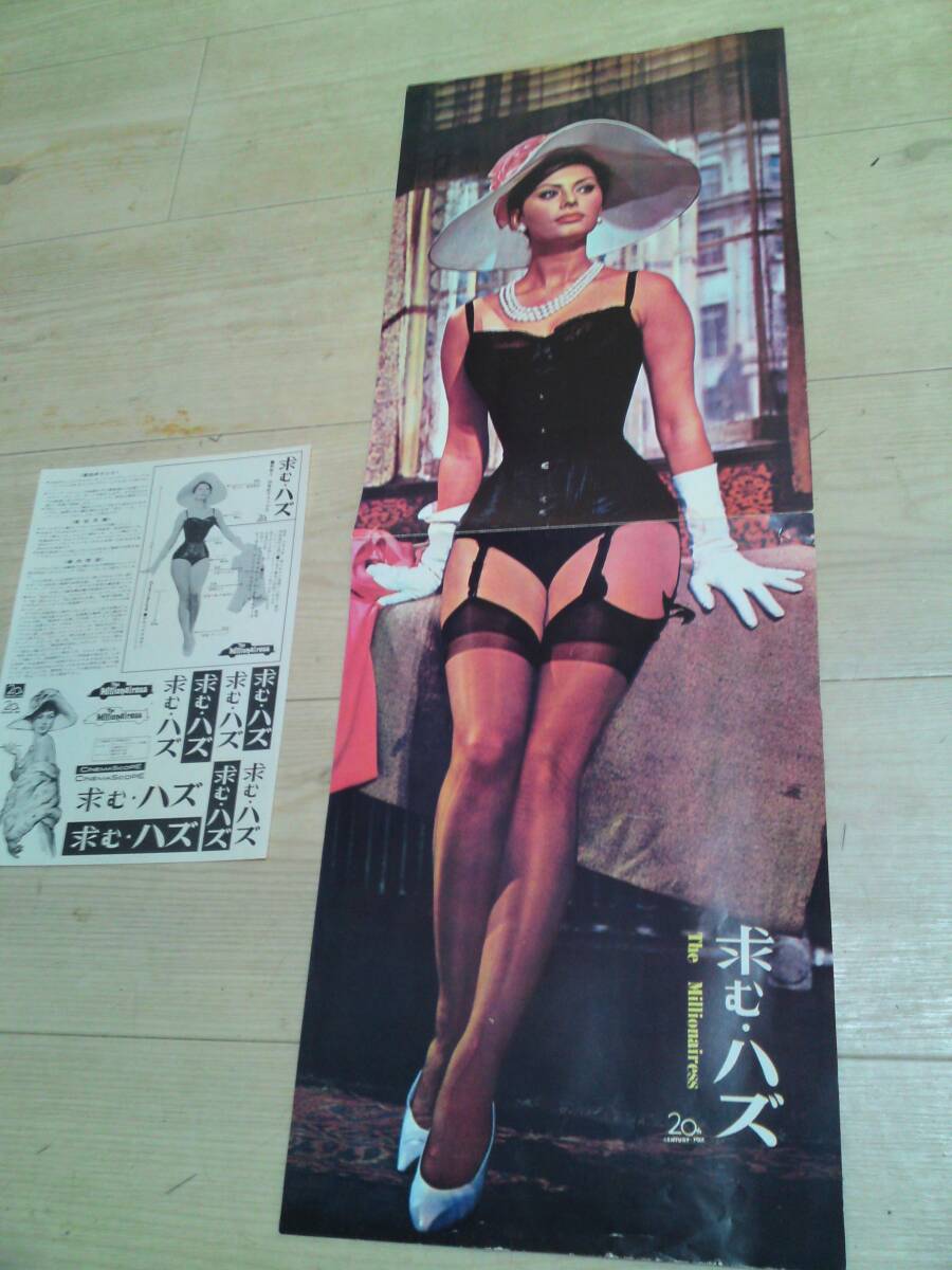Sophia Loren ソフィアローレン 求むハズ プレスシート_画像1