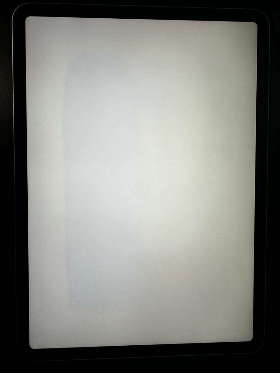 iPad Pro 11 第1世代 Wi-Fiモデル　64GB