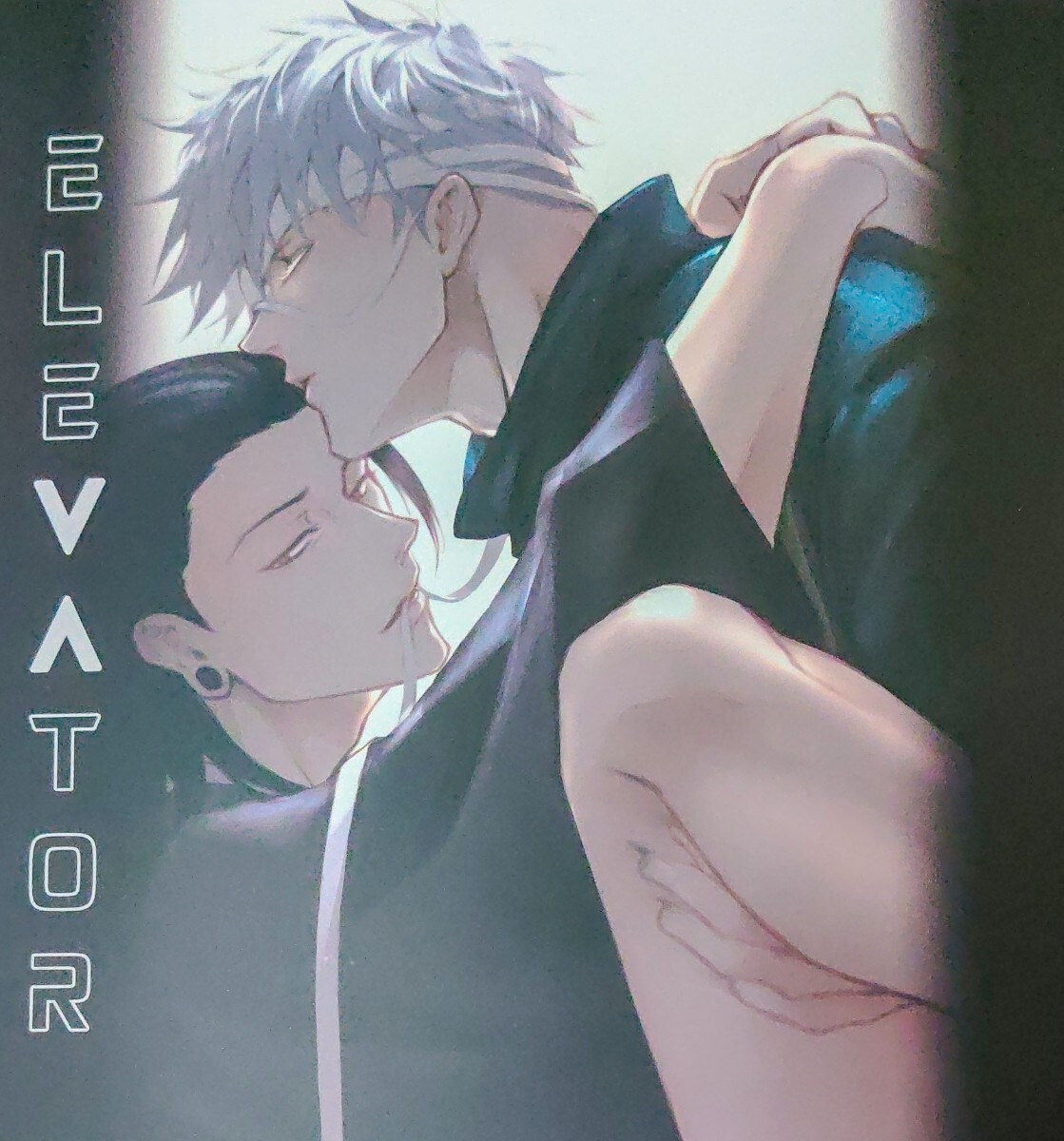 呪術廻戦同人誌【ELEVATOR】珍木苗材行（LS-JENJEN）五夏_画像1