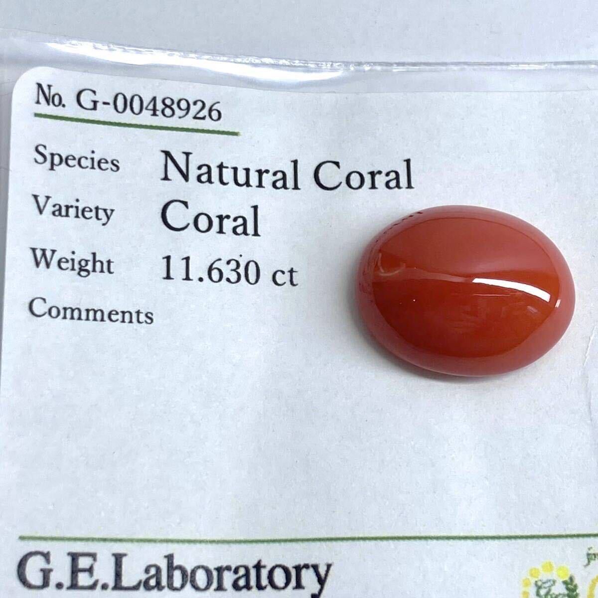 ●天然本珊瑚2.3g●A 11.630ct 17.3×14.1mm ルース 裸石 宝石 coral コーラル さんご 丸玉 サンゴ DA0 テEA6_画像5
