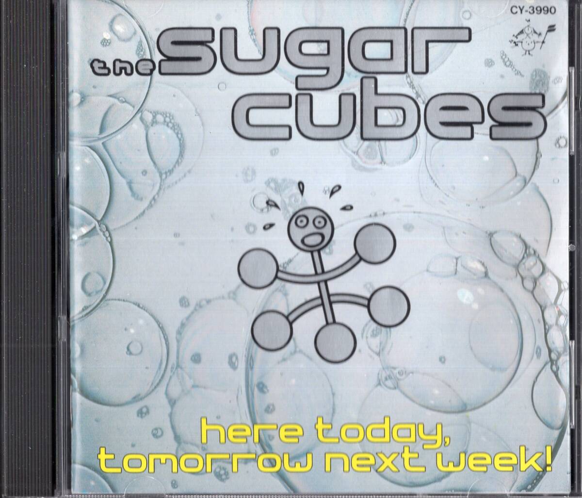 即：シュガーキューブス トゥデイ、トゥモロー・ネクスト・ウィーク sugarcubes here today,tomorrow next week_画像1