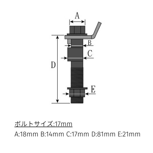 ラルグス キャンバーボルト エスティマエミーナ TCR20G トヨタ 2本セット フロント 17mm LARGUS_画像5