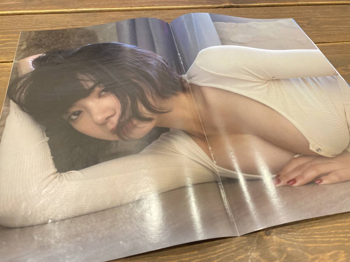 池田エライザ 雑誌切り抜き8ページ インタビュー カタログ 巨乳 ハーフ アイドル_画像3