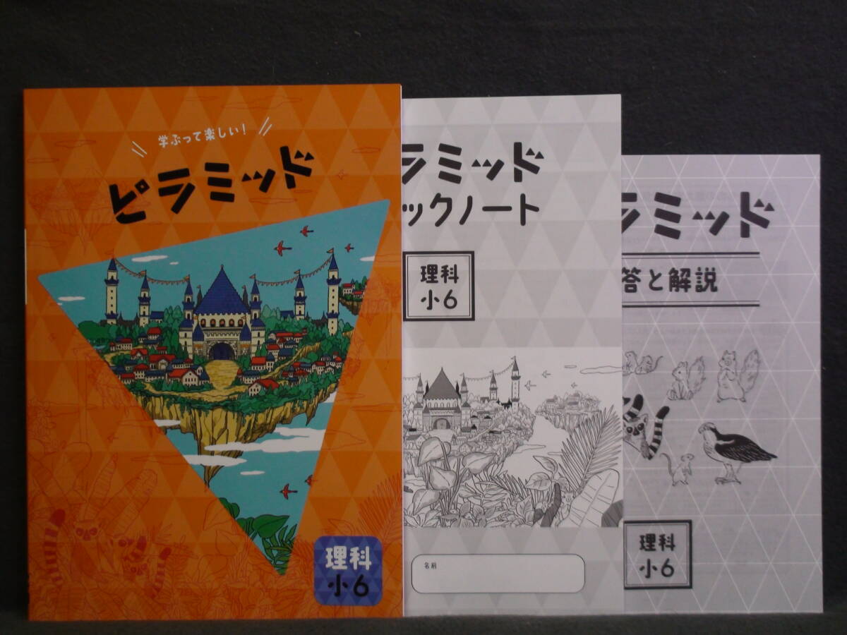 ★ 即発送 ★ 新品 最新版 ピラミッド 理科と社会 ２教科セット 小６ 解答・確認テスト付 ６年_画像2