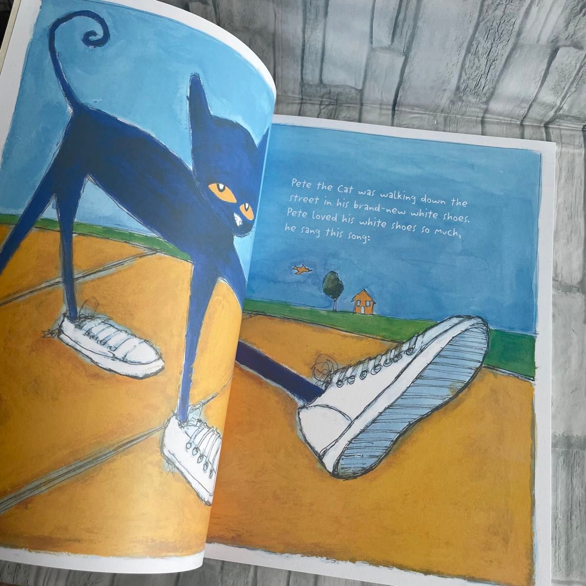 大人気 Pete the cat 英語絵本　子供　読み聞かせ 洋書 児童書