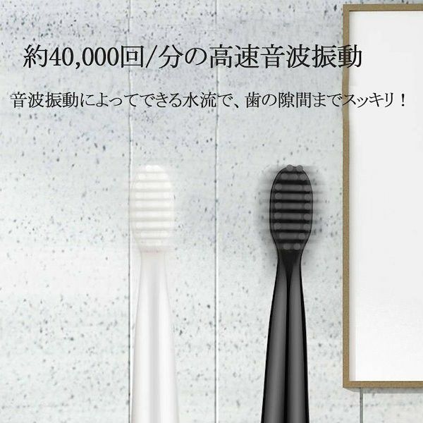 ソニック 音波式電動歯ブラシ 本体 替えブラシ3本付き 5ギアモード USB充電式 