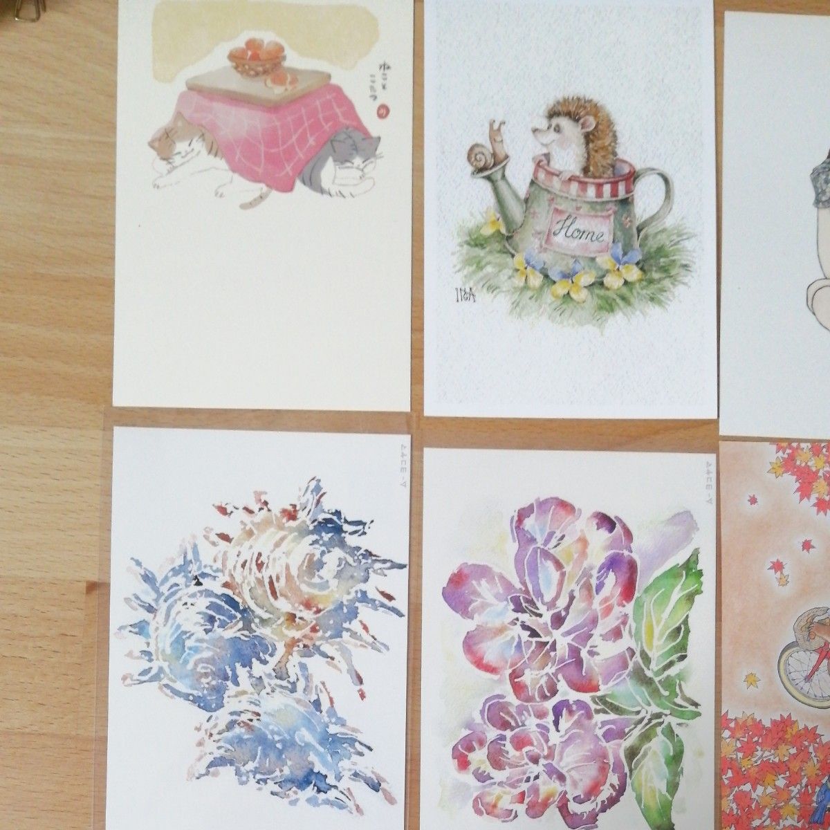 ポストカード、6枚セット、猫、ハリネズミ、お花、紅葉