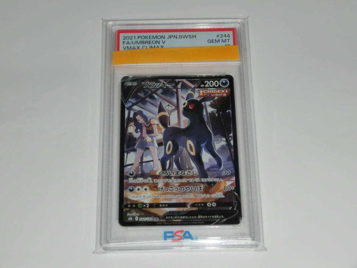 PSA 10 ポケモンカード CSR 244/184 ブラッキーＶ(シングルカード 