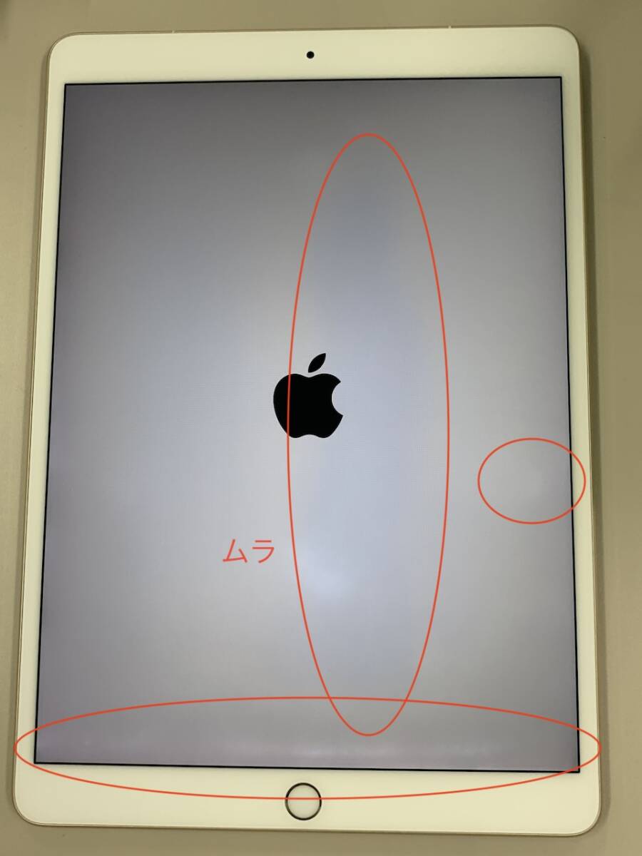 本体美品・訳あり iPad Pro 10 5インチ Wi-Fi+Cellular 256GB 本体美品・訳あり iPad Pro 10 5インチ Wi-Fi+Cellular 256GB