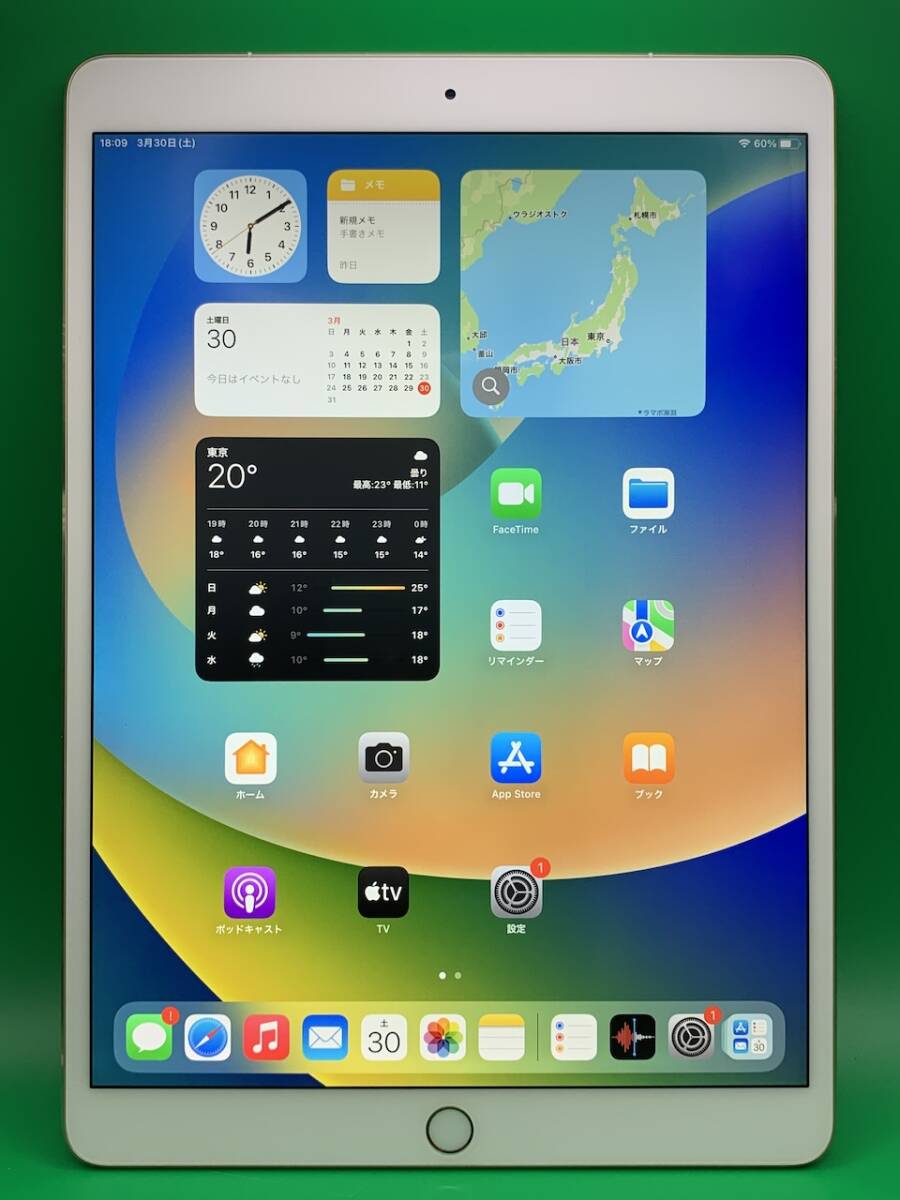 本体美品・訳あり iPad Pro 10 5インチ Wi-Fi+Cellular 256GB 本体美品・訳あり iPad Pro 10 5インチ Wi-Fi+Cellular 256GB