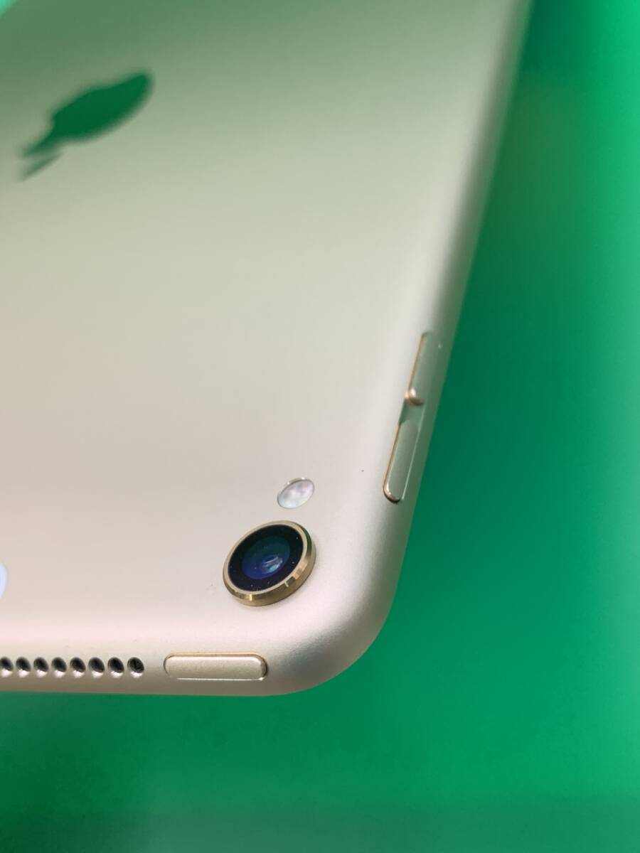 本体美品・訳あり iPad Pro 10 5インチ Wi-Fi+Cellular 256GB 本体美品・訳あり iPad Pro 10 5インチ Wi-Fi+Cellular 256GB