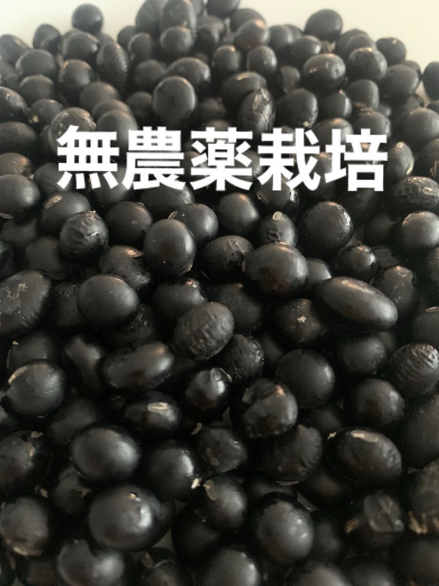黒豆　北海道黒豆　乾燥野菜　豆類　500ｇ入り