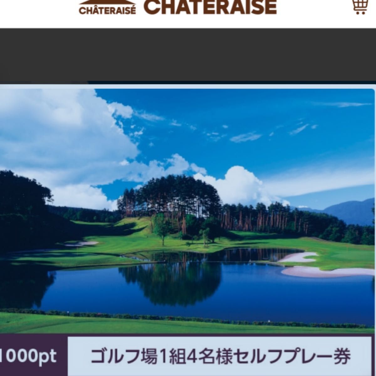 シャトレーゼゴルフ場1組4名様セルフプレー券