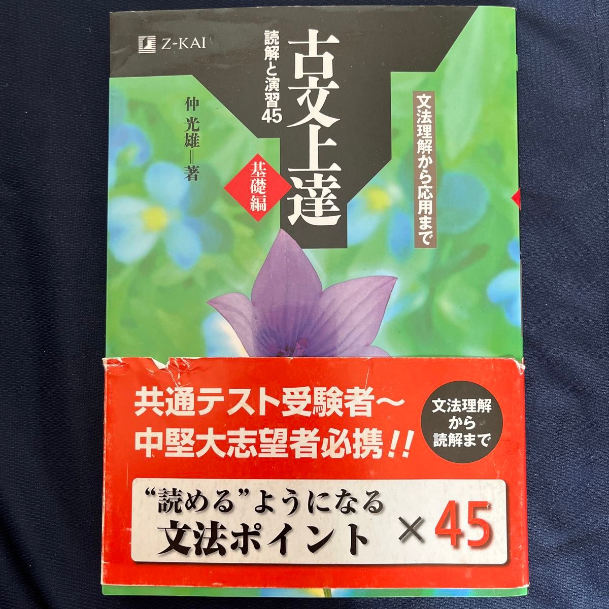 Z会 古文上達 読解と演習45 仲光雄