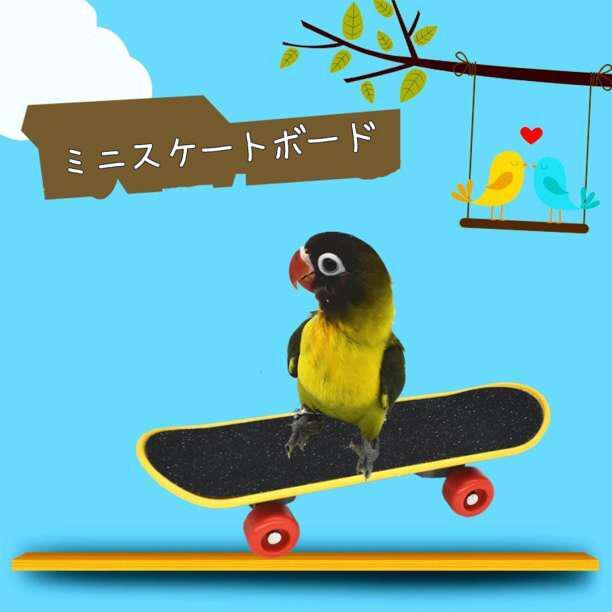 ミニスケボー 小鳥 小型 インコ バードトイ おもちゃ ペット_画像3