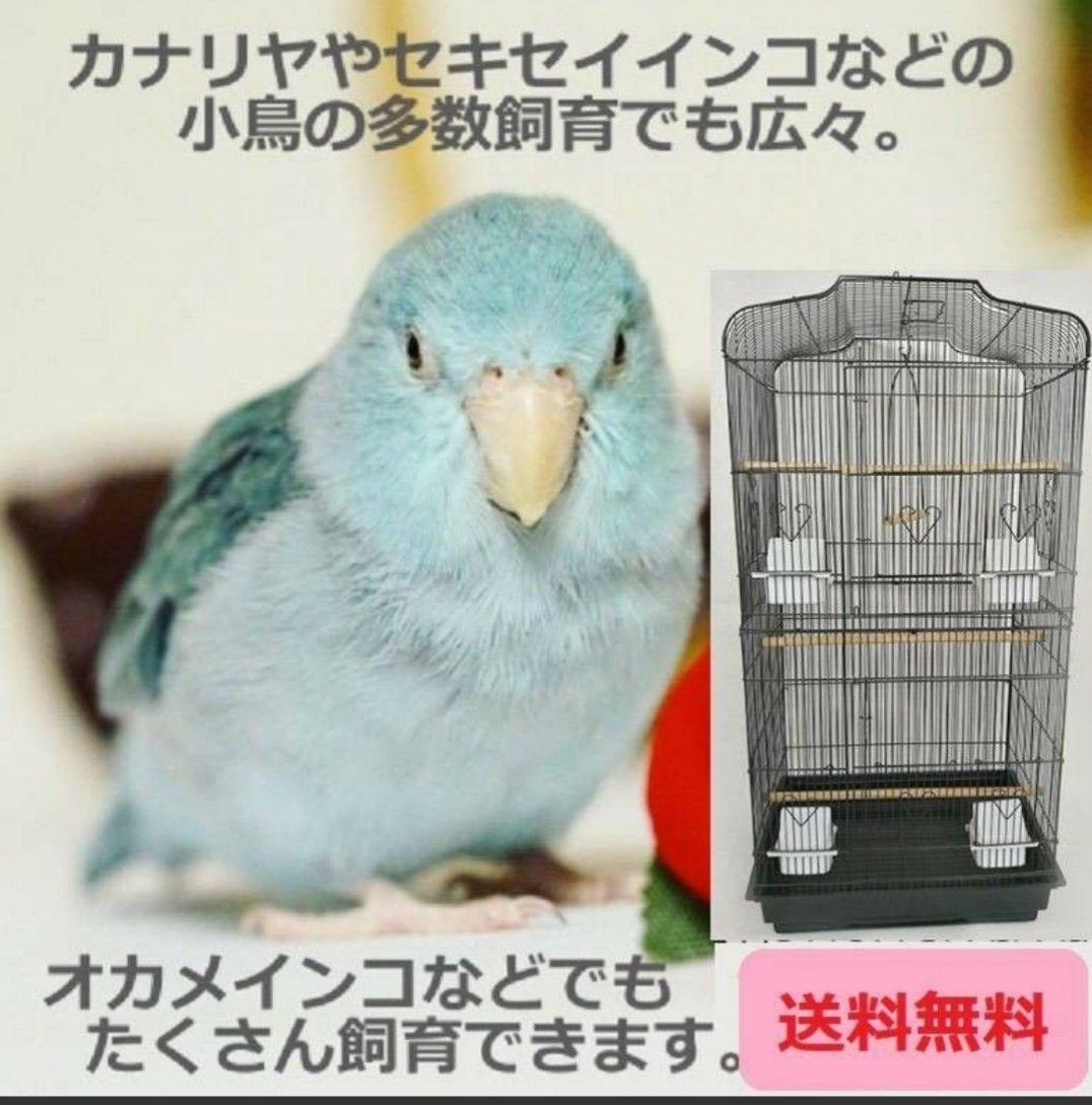 大型 鳥かご 鳥カゴ 鳥籠 鳥小屋 バードケージ 鳥ゲージ 組立式 新品