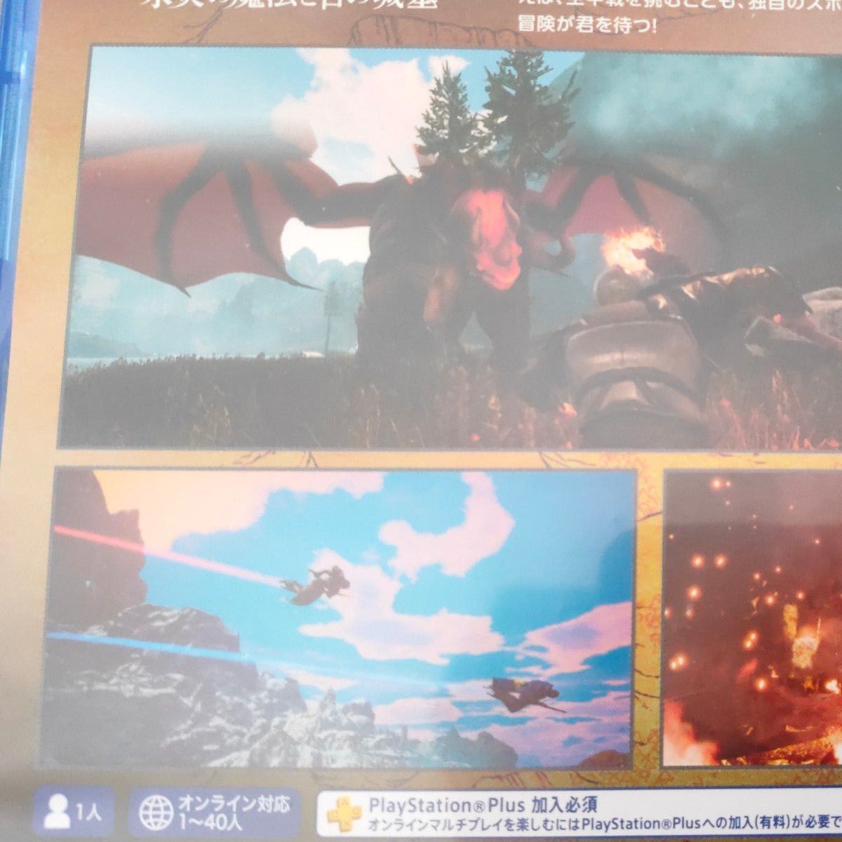 PS4ソフト シタデル CITADEL 火炎の魔法と古の城塞 動作確認済み