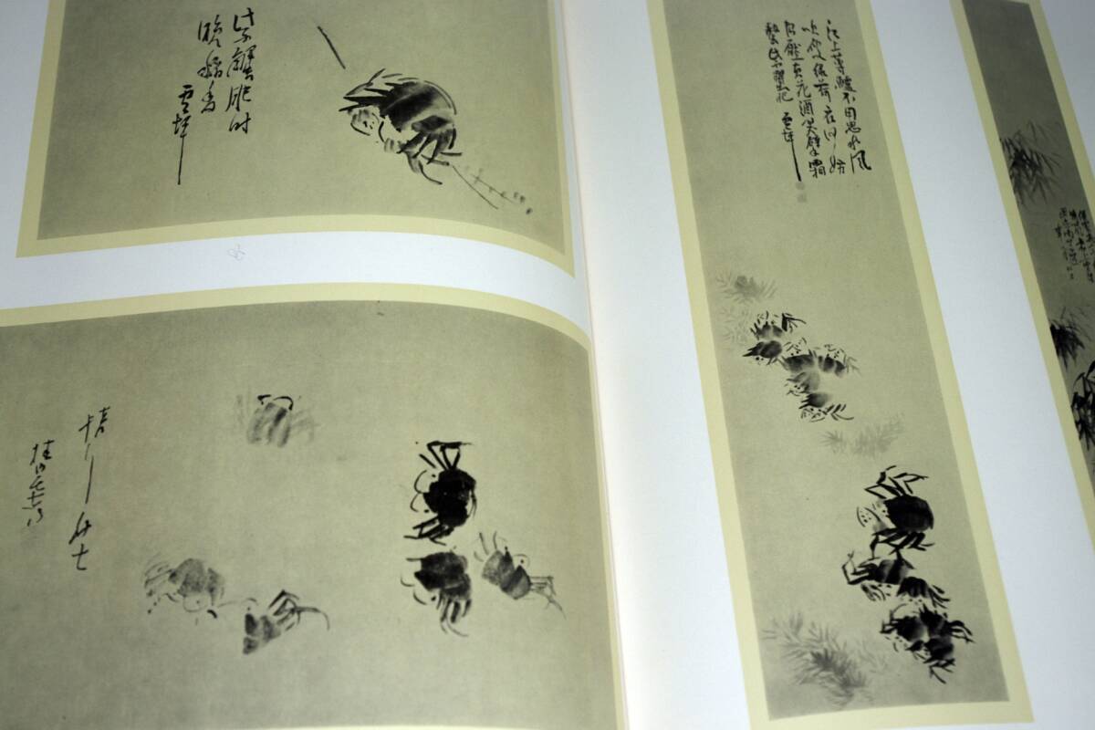 近代絵画と文人画の知性 －長井雲坪の芸術－ 著・柳亮 昭和49年 コトブキ画廊の画像5