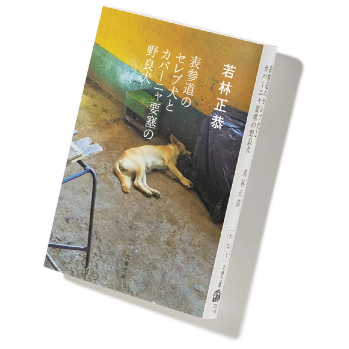 オードリー　若林正恭　著書　『表参道のセレブ犬とカバーニャ要塞の野良犬』　旅行　Creepy Nuts　DJ松永　だが、情熱はある