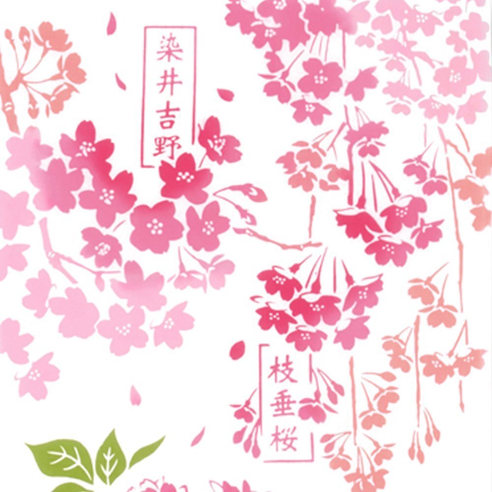 日本手ぬぐい 和柄 おしゃれ 桜図鑑 さくら 春柄 kenema 注染 手拭い クリックポスト対応_画像8