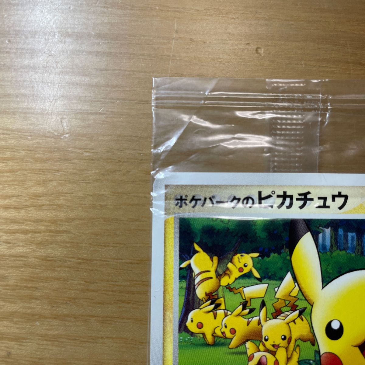 未開封 安価】ポケパークのピカチュウ プロモ ポケモンカード 未開封 安価】ポケパークのピカチュウ プロモ ポケモンカード