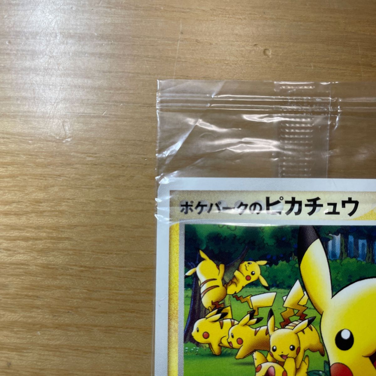 【未開封　安価】ポケパークのピカチュウ　プロモ　ポケモンカード　ポケパーク　アトラクション限定カード　043/PCG-P　安価設定