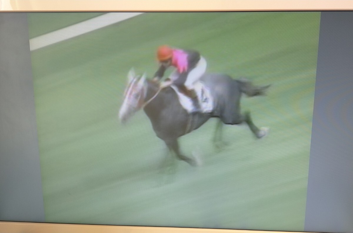 DVD 競馬 ビワハヤヒデ 無敵の兄貴 帯付き 岡部幸雄 フジテレビ ポニーキャニオン 中央競馬　pony CANYON ナリタブライアン_画像5