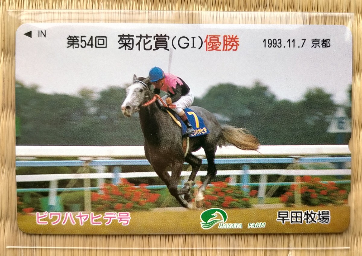 競馬 未使用 ビワハヤヒデ 早田牧場 テレホンカード 菊花賞 神戸新聞杯 2枚組 岡部幸雄 中央競馬 テレカ_画像2