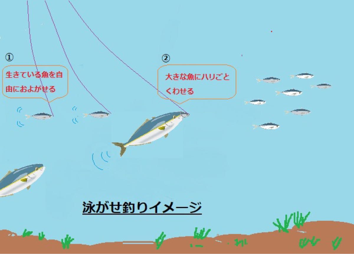 ボート用大物狙い　泳がせ釣り.ノマセ釣り仕掛け２本針×5