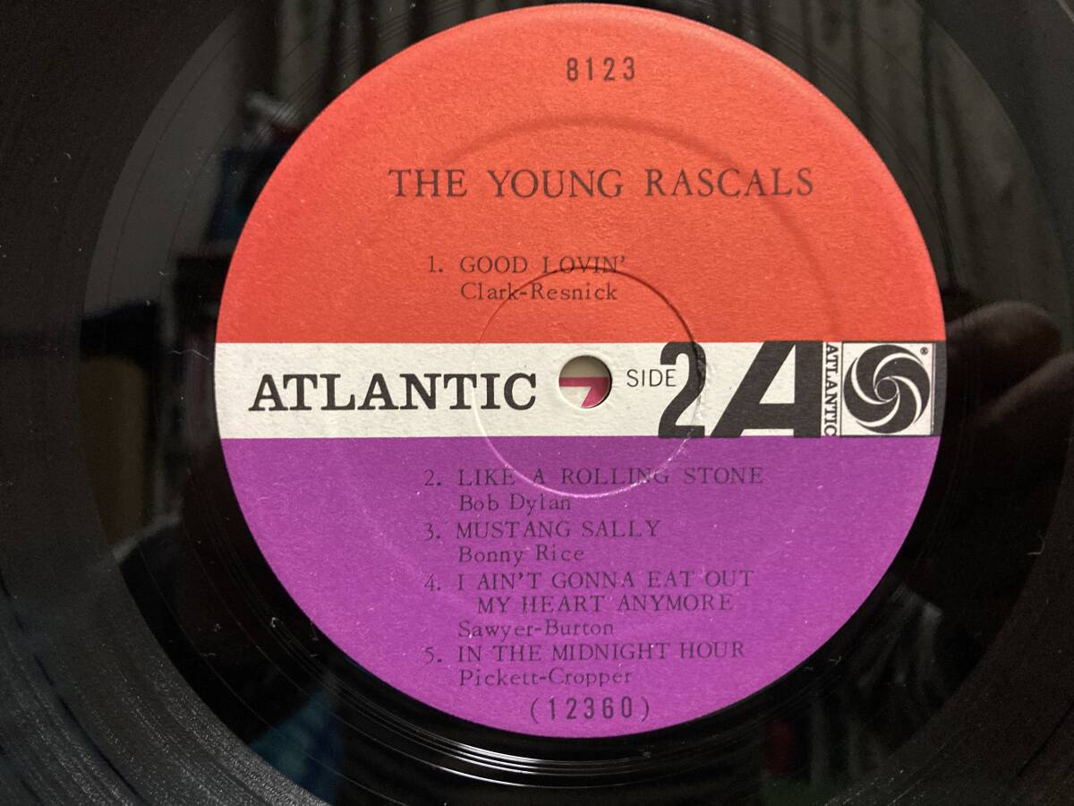 【LP】YOUNG RASCALS ☆ S.T. 66年 US Atlantic モノラル アナログ ブルーアイドソウル 名盤 Good Lovin' 広告インナー付き 爆音_画像8
