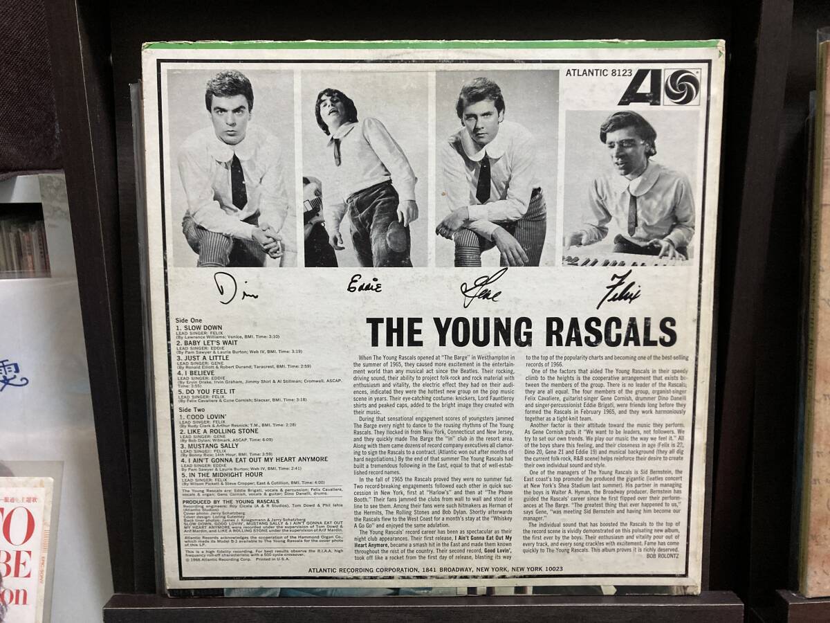 【LP】YOUNG RASCALS ☆ S.T. 66年 US Atlantic モノラル アナログ ブルーアイドソウル 名盤 Good Lovin' 広告インナー付き 爆音_画像2