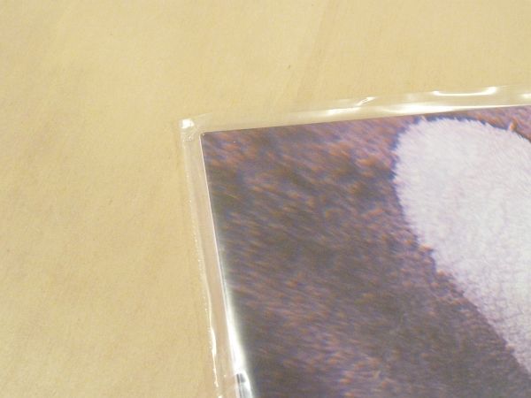 未使用ブルーカラー盤LP くだらない1日 Rebound アナログレコード KUDARANAI1NICHI _画像3
