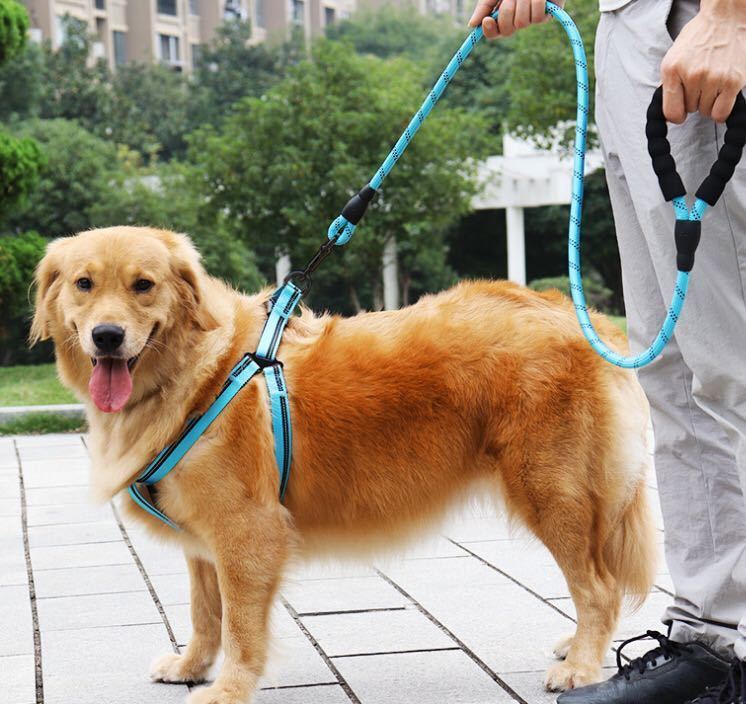 オレンジ リード 犬 頑丈 反射 大型犬 軽量 軽い 丈夫 柔らかい 中型犬 ロープ 夜間 ペットリード 散歩ひも_画像5