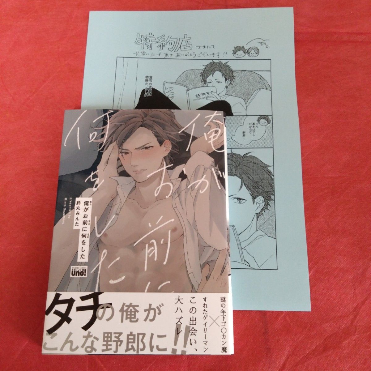 【新品未読】鈴丸みんた　『ゴールデンスパークル』『俺がお前に何をした』リーフレット　特典ペーパー2種　BL