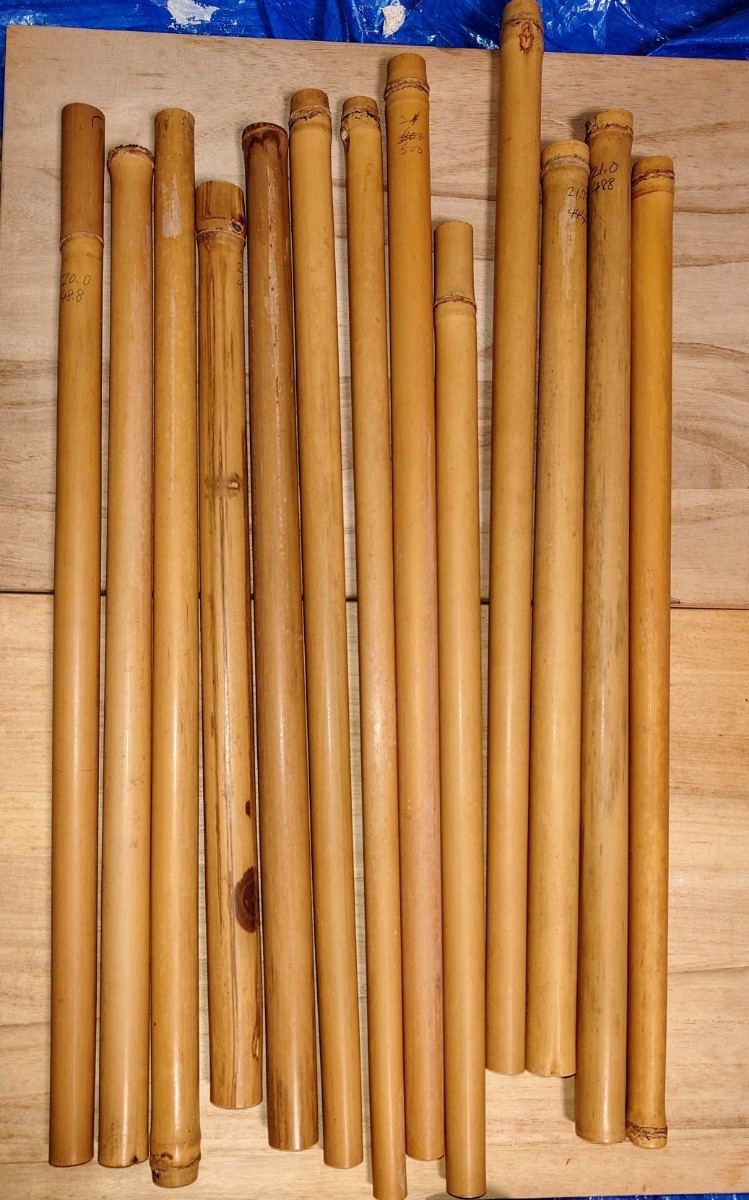 13 девушек бамбук, 7 бамбук с мышцами