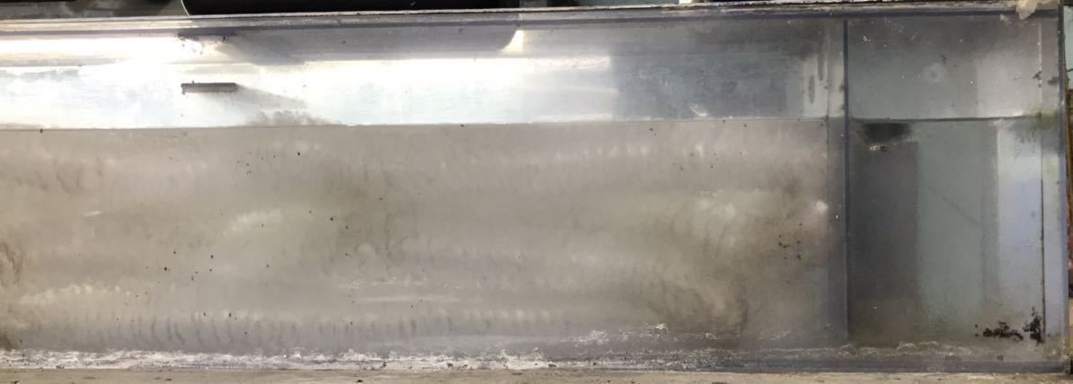 1.8m高性能濾過材バイオコード(ハードタイプ)(送料無料)(新品)金魚 熱帯魚 錦鯉 池 上部 外部フィルター オーバーフロー 環境浄化資材の画像6