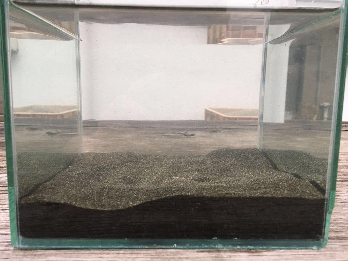  black sand 4 kilo * fish. color .... black . detaled heavy sand *1 liter 1.6Kg height ratio -ply *tanago Corydoras dojoume Dakar goldfish two sheets . tropical fish Japan freshwater fish 