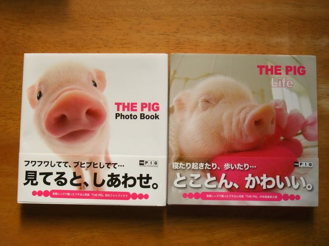 THE PIG 写真集　フォトブック＋Life　2冊　子豚_画像1