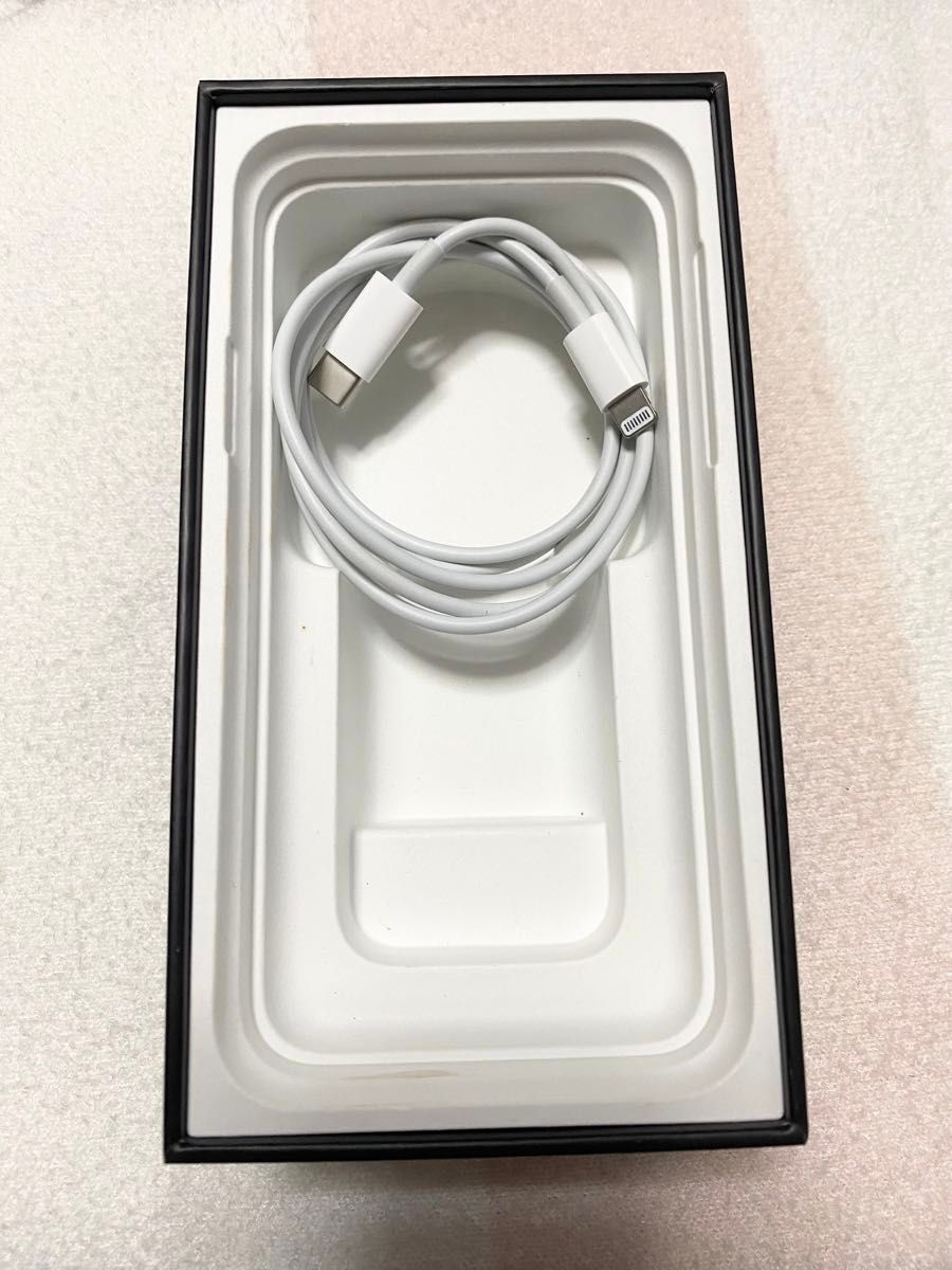 Apple iPhone 充電器 USB-C-Lightningケーブル Earpods（Lightningコネクタ）イヤホン